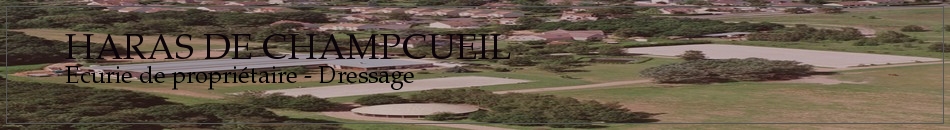 HARAS DE CHAMPCUEIL